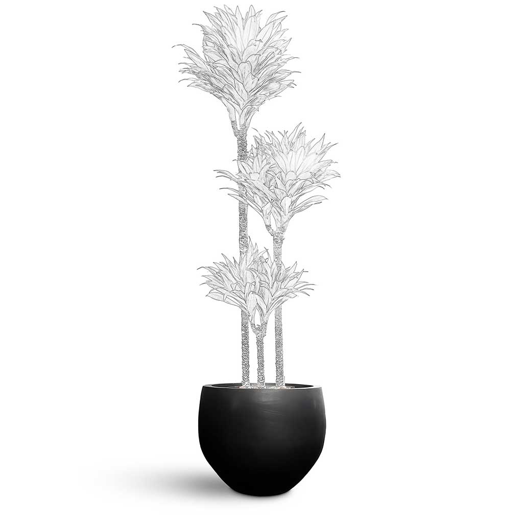 Orb Natural Planter - XL Plant Display