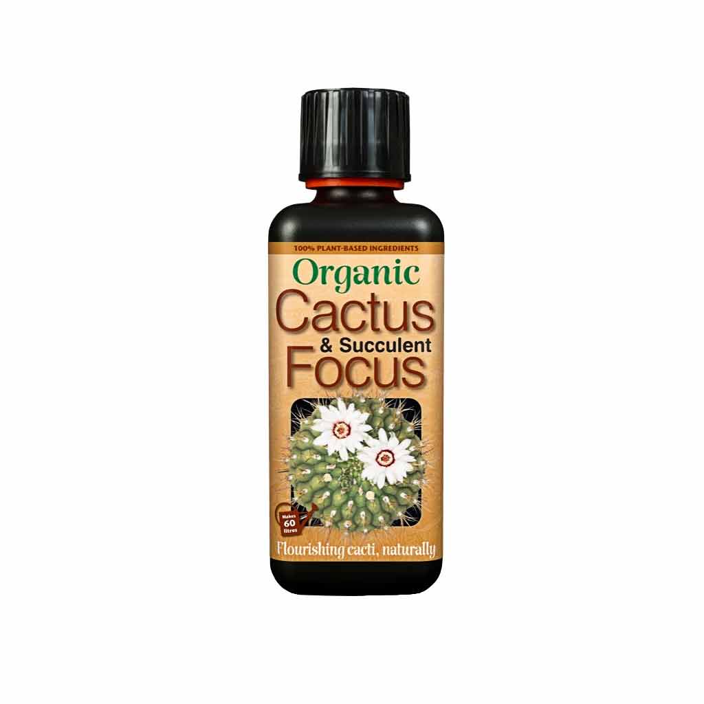 cactus and succulent focus Cactus & Succulent Focus - Plant Nutrition - Plant Care | Hortology