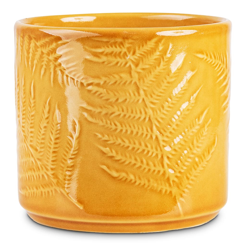Orla Fern Pot Mustard 15.5x14cm pot