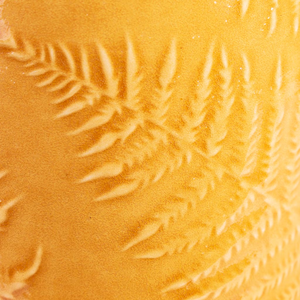 Orla Fern Pot Mustard Close Up