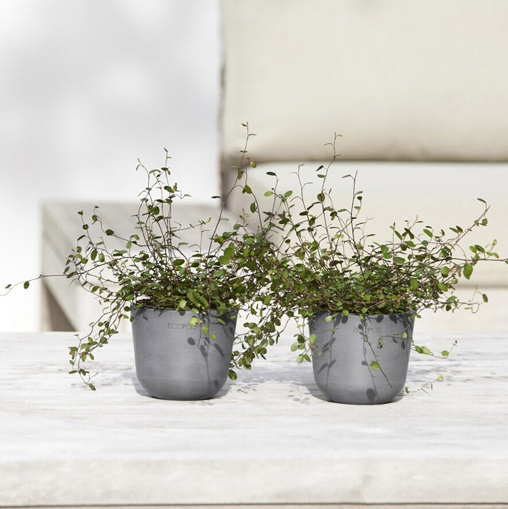 EcoPots Oslo - Grey - Recycled Plant Pots