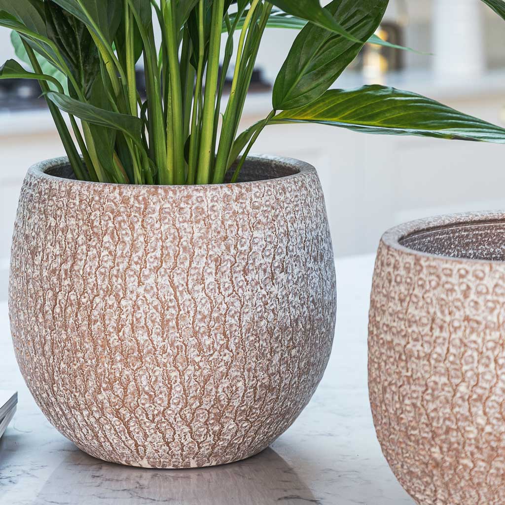 speckled plant pot Ostia Plant Pot - Speckled - Quality Plant Pots