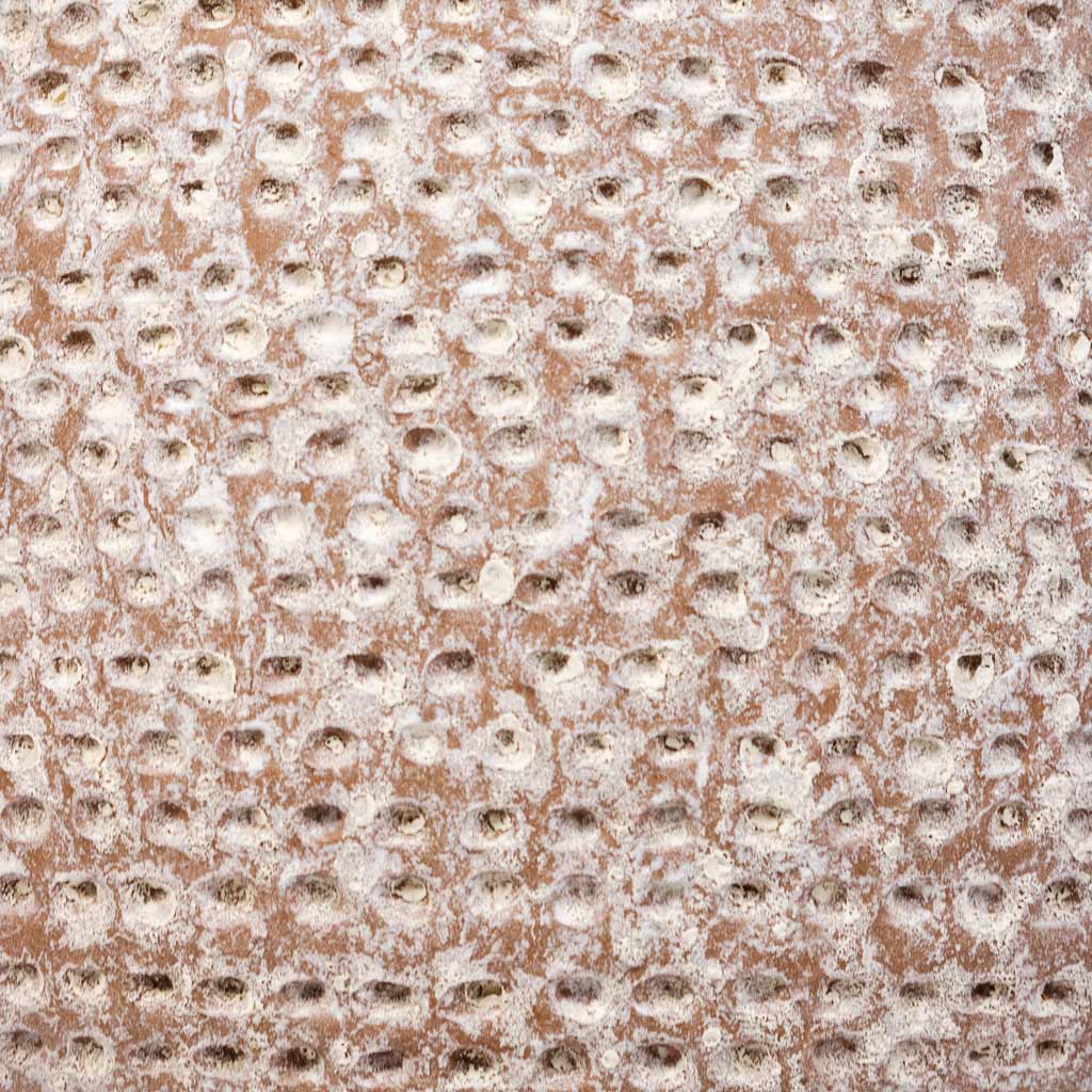 Ostia Pot Speckled Close Up Detail