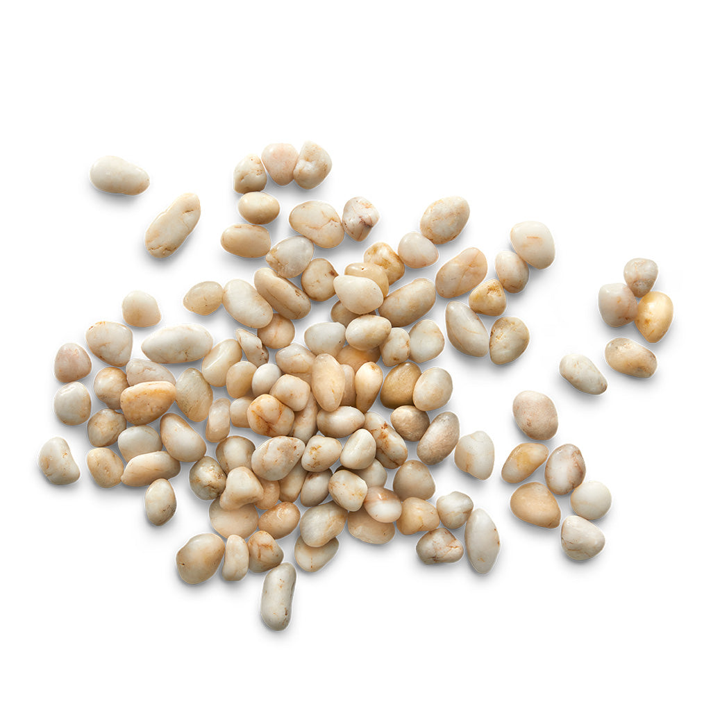 Oyster Decorative Pebbles Close Up 