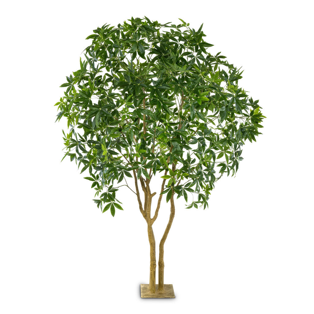 Pachira Multi Trunk Botanic Tree Potted Artificial 285cm