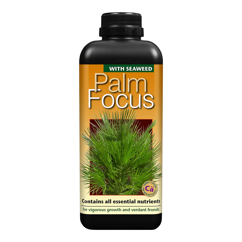 Palm Focus - Plant Nutrition - 1L