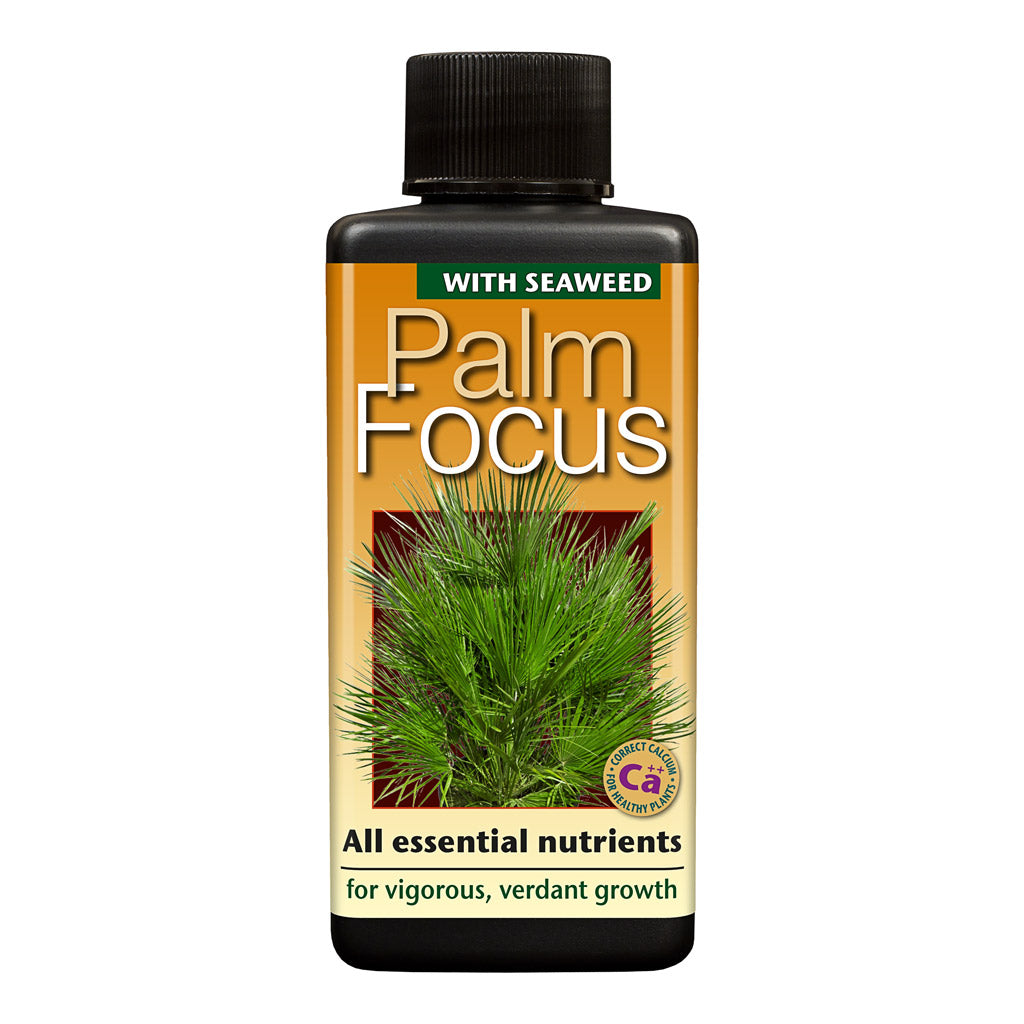 Palm Focus - Plant Nutrition - 100ml