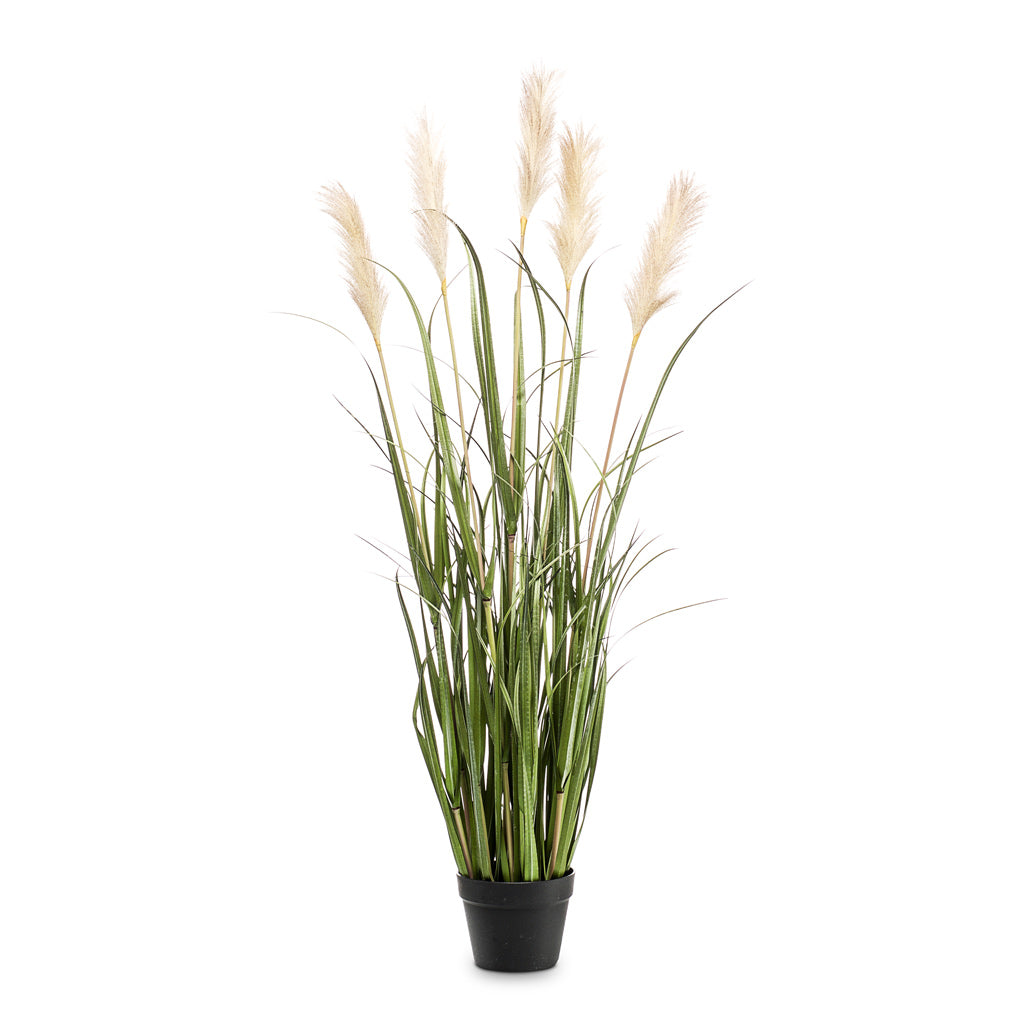 Pampas Grass Artificial - 130cm - (5 Stems)