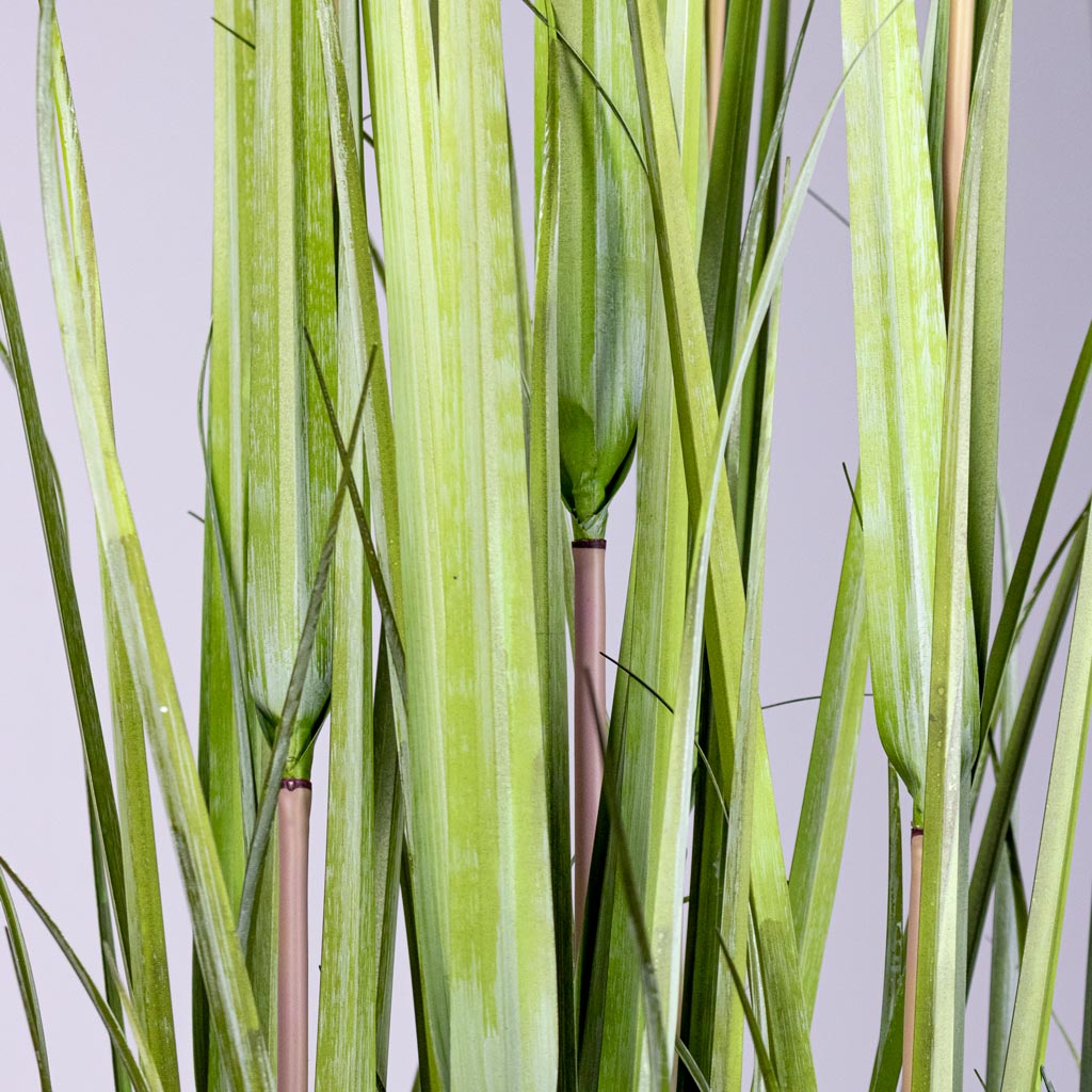 Pampas Grass Potted Artificial Close up