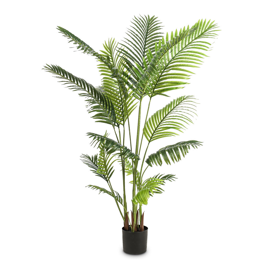 Paradise Palm Artificial - 160cm