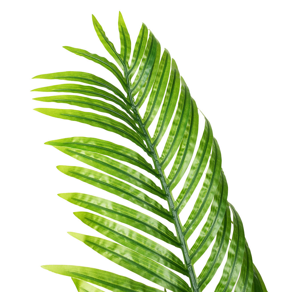 Paradise Palm Artificial Close Up Of Leaves 