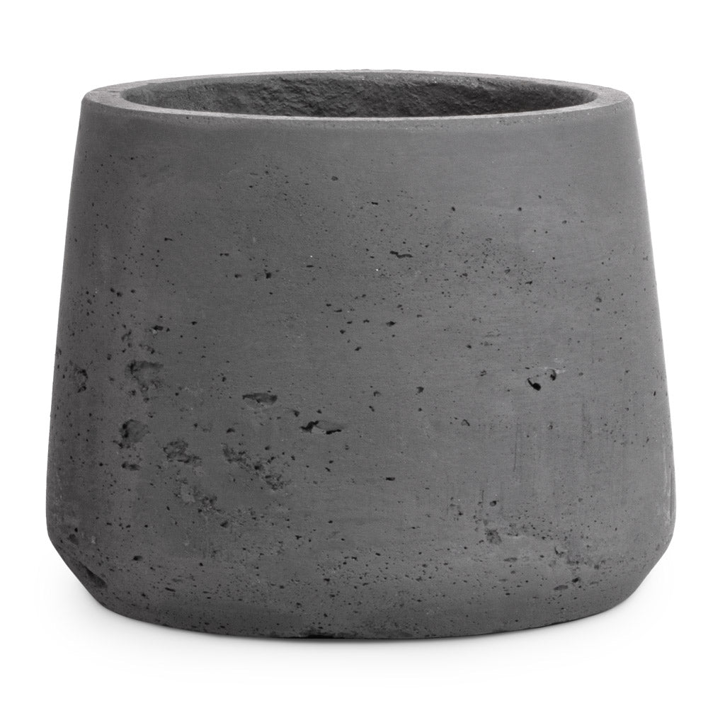 Patt Plant Pot - Black Washed