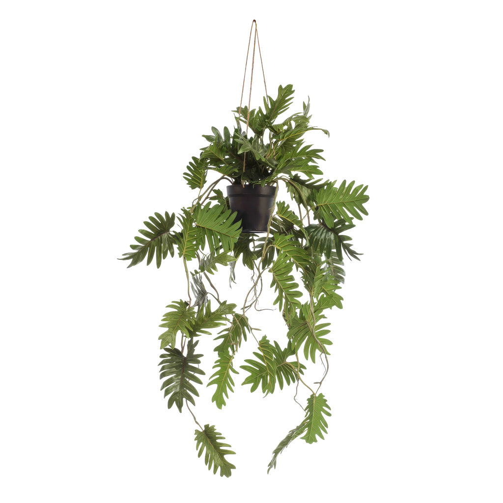 Philodendron Hanging Bush Potted 115cm Artificial