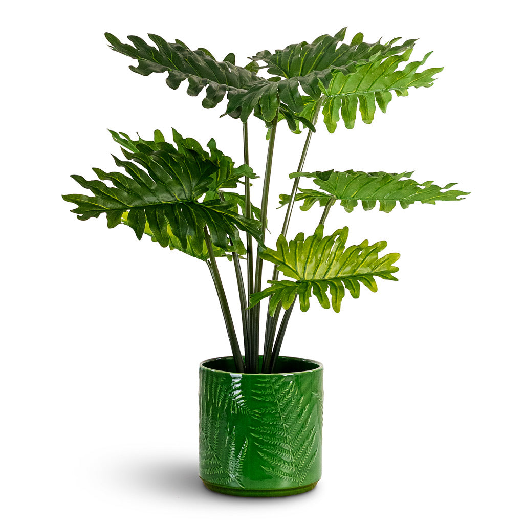 Philodendron Potted Artificial 60cmHouse Plant in Orla Fern Pot Emerald 17.5x16.5cm