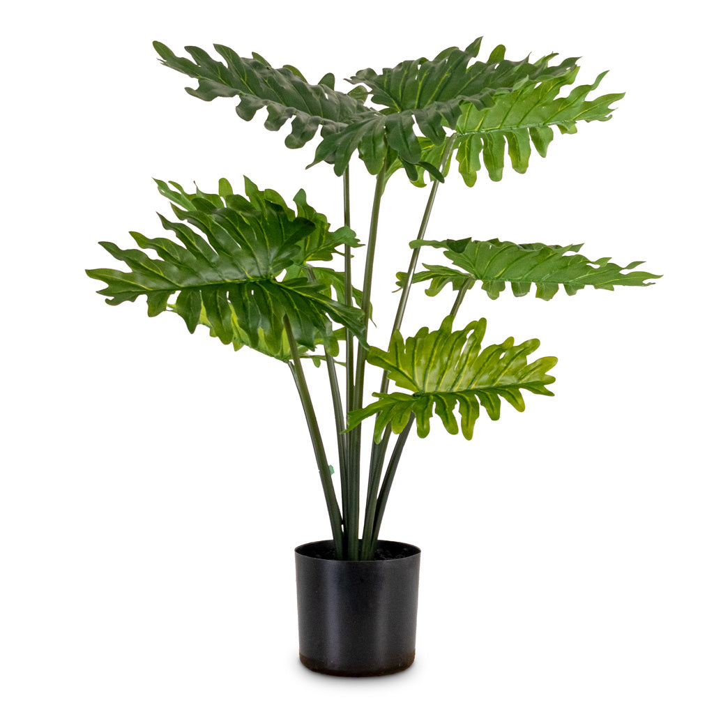 Philodendron Potted Artificial 60cm