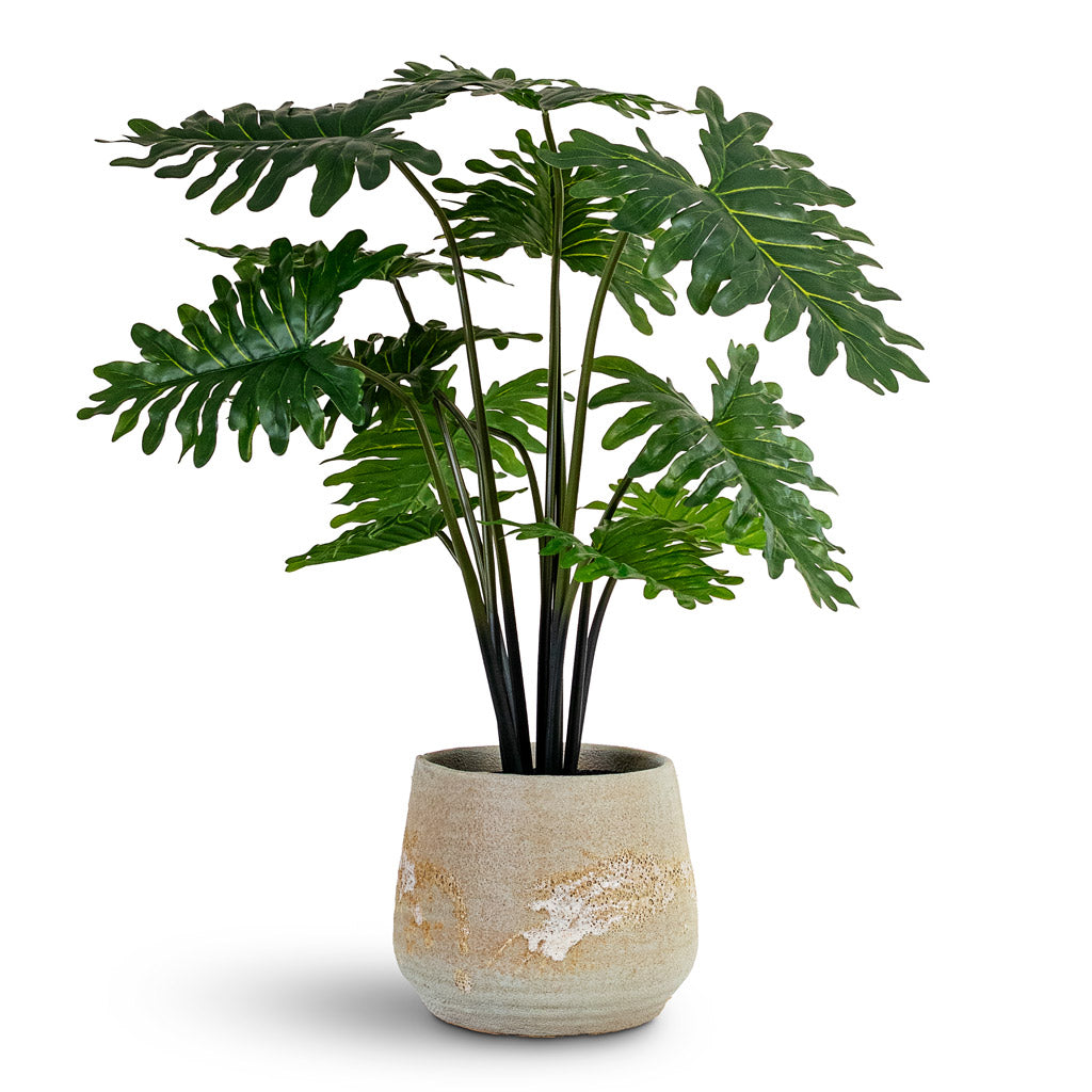 Philodendron Potted Artificial 80cm House Plant In Jelmer Pot Frosted Mint 25x20cm