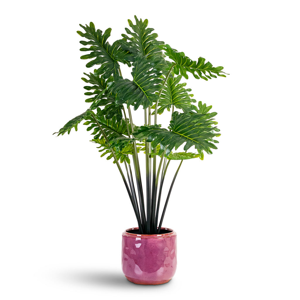 Philodendron Potted Artificial 95cm House Plant In Mabel Pot Cherry 23x20cm