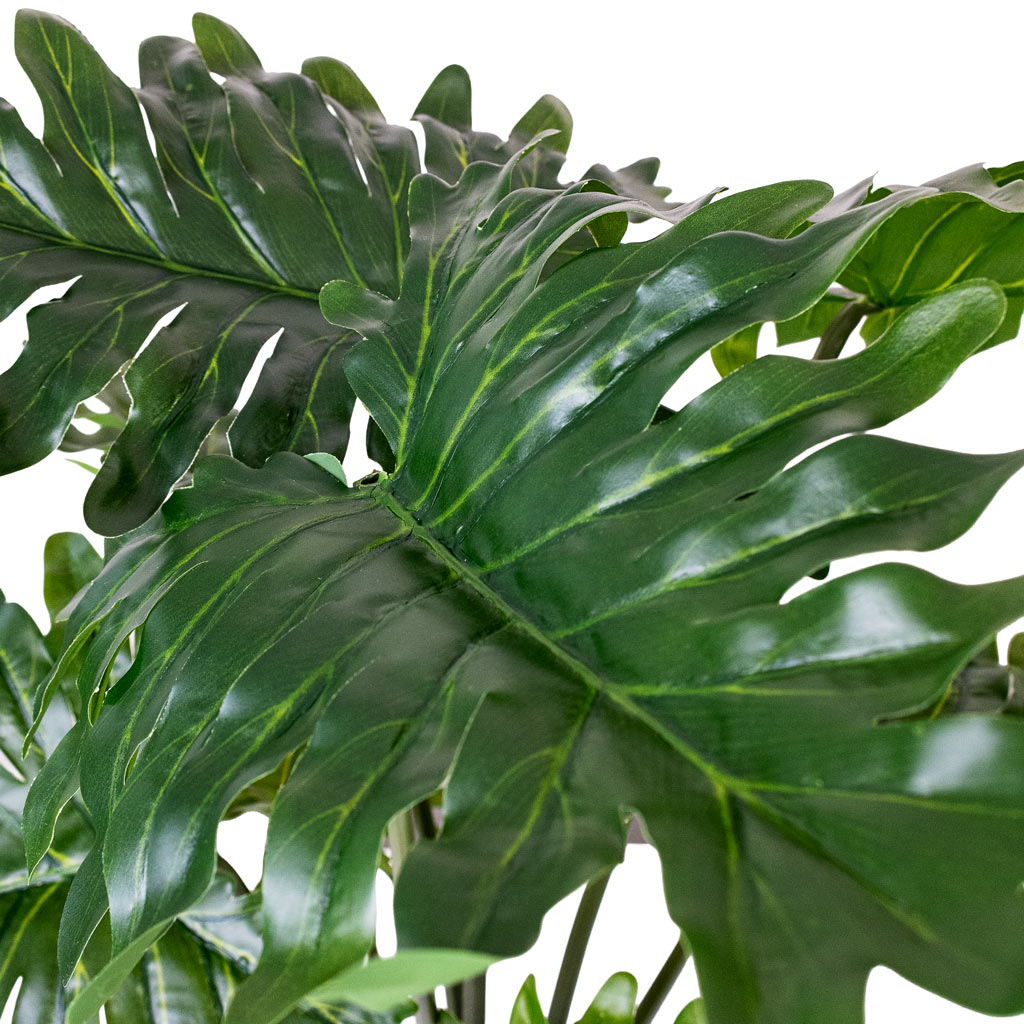 Philodendron Potted Artificial Close up