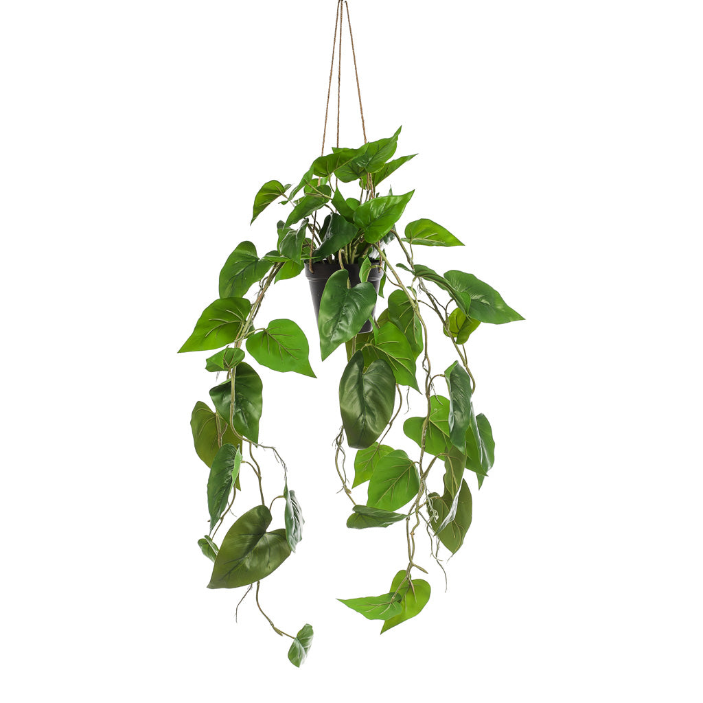 Philodendron scandens - Sweetheart Plant - Artificial
