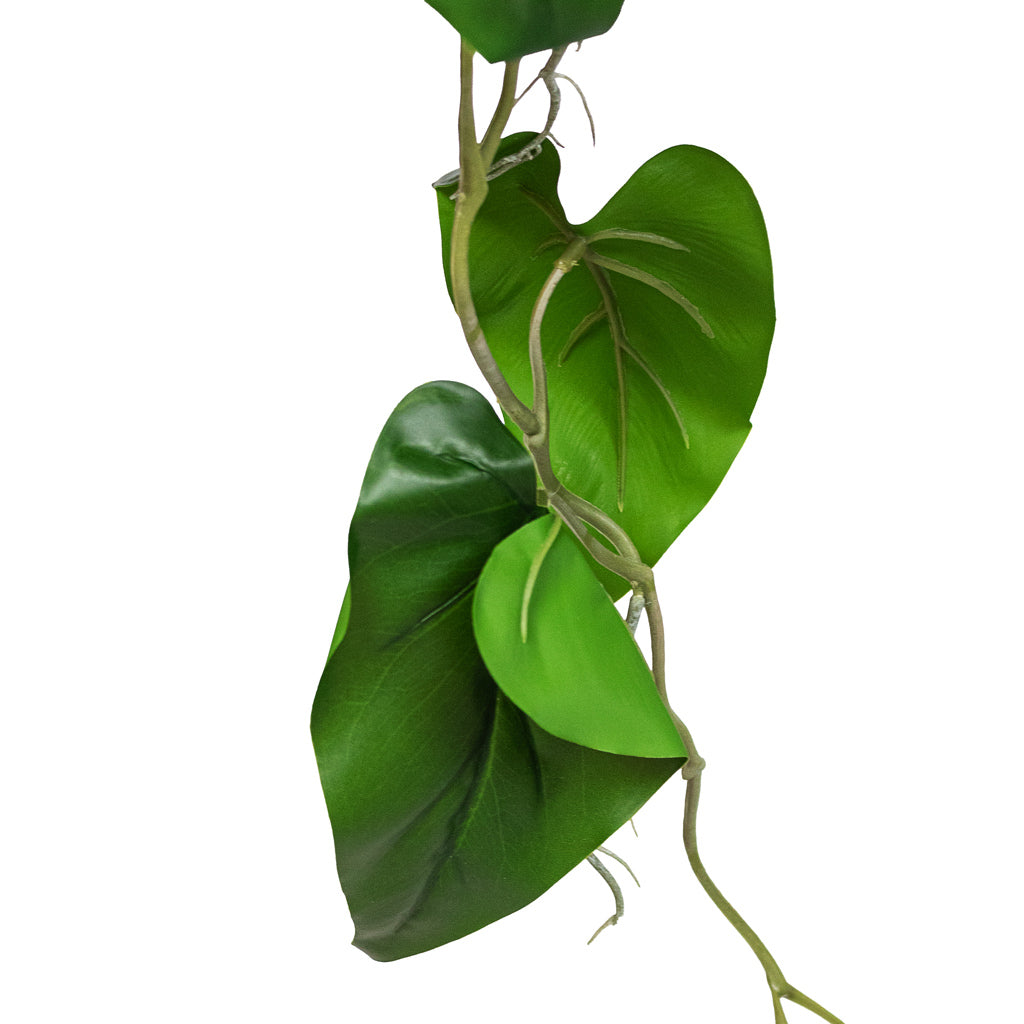 artificial heart leaf philodendron Philodendron scandens - Sweetheart Plant - Artificial