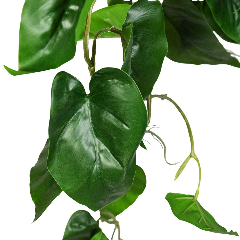 Philodendron scandens Sweetheart Plant Artificial Close Up 