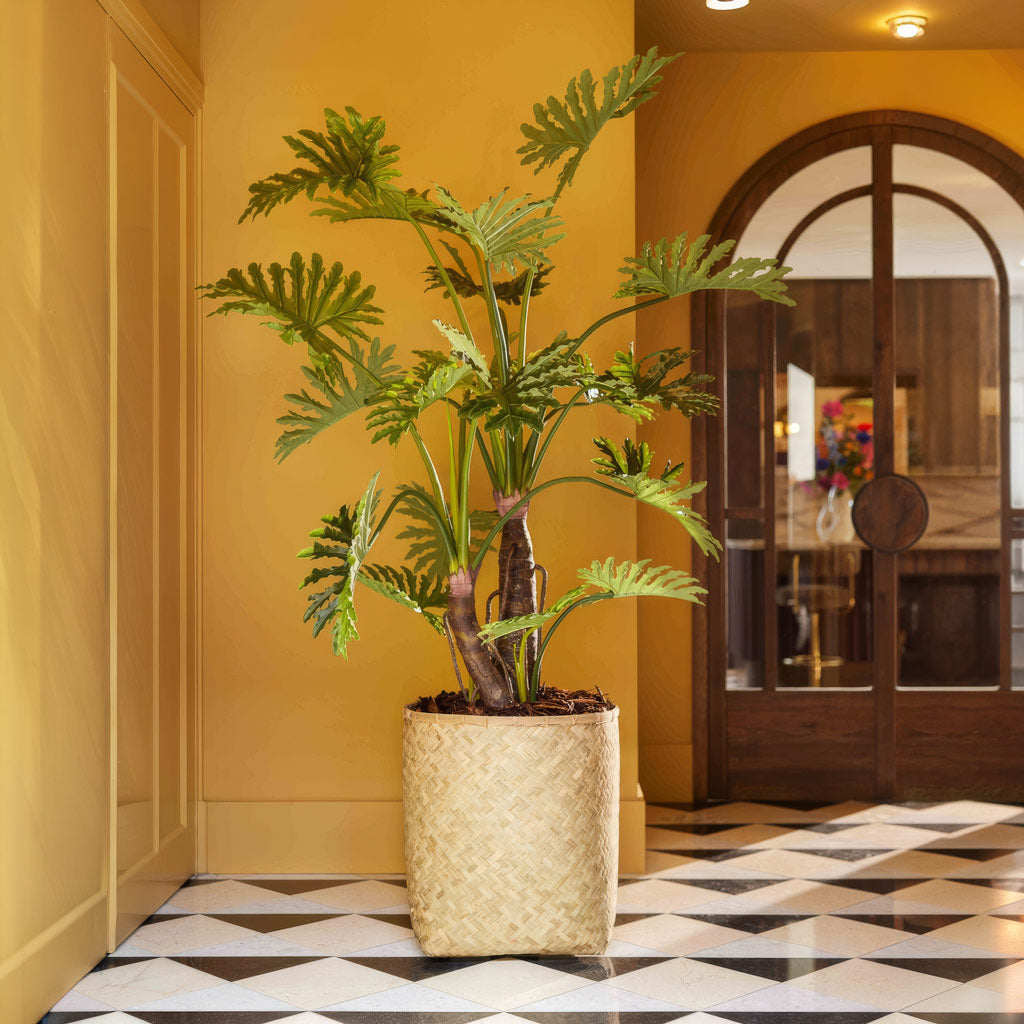 Philodendron selloum Potted Artificial 125cm