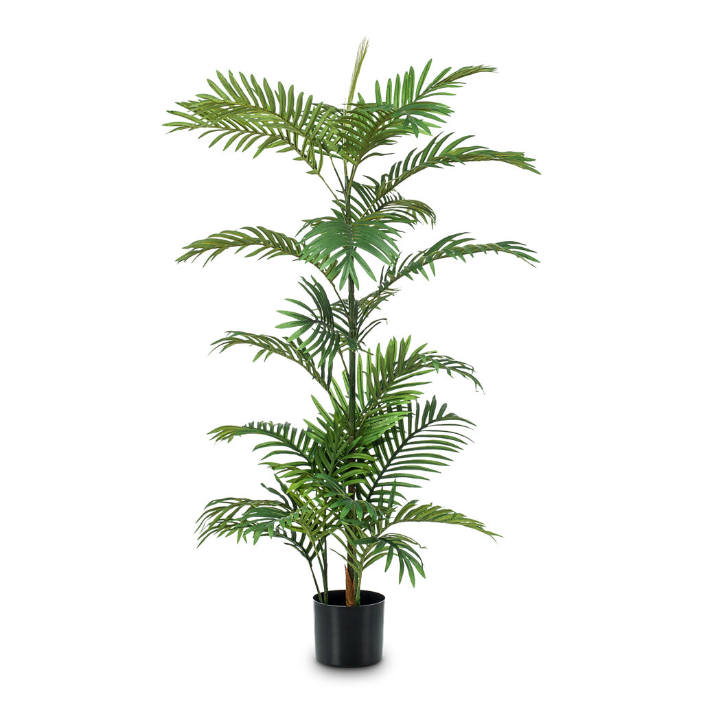 Phoenix Palm Artificial - 120cm