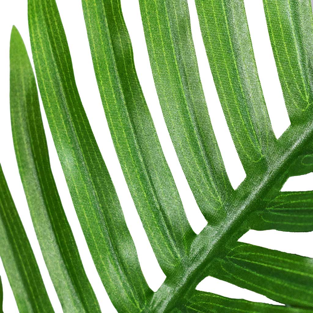 Phoenix Palm Canary Island Data Palm Artificial Leaf Close Up Detail