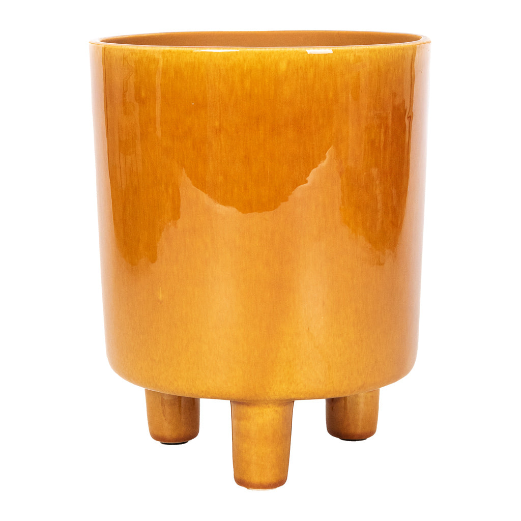 Pisa Plant Pot - Mustard