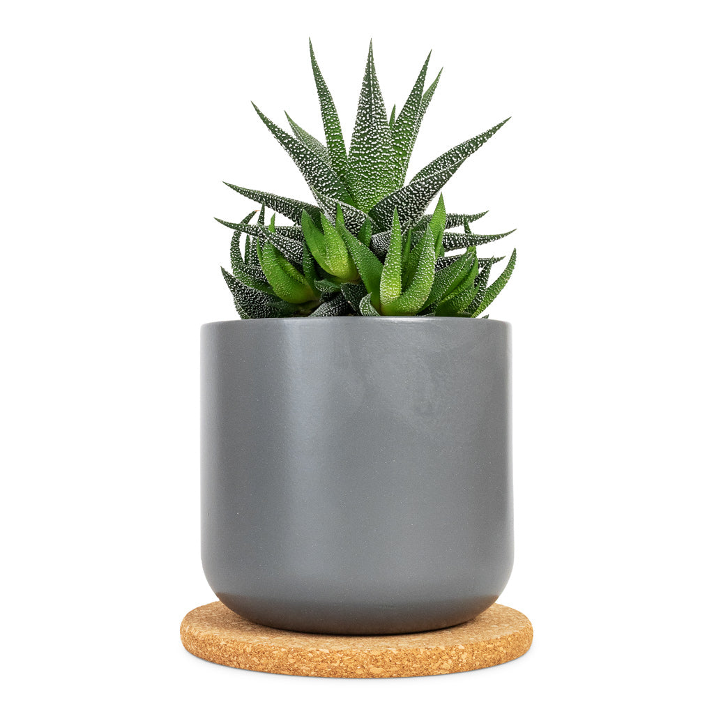 Cork Plant Pot Coaster Under Lisbon Plant Pot