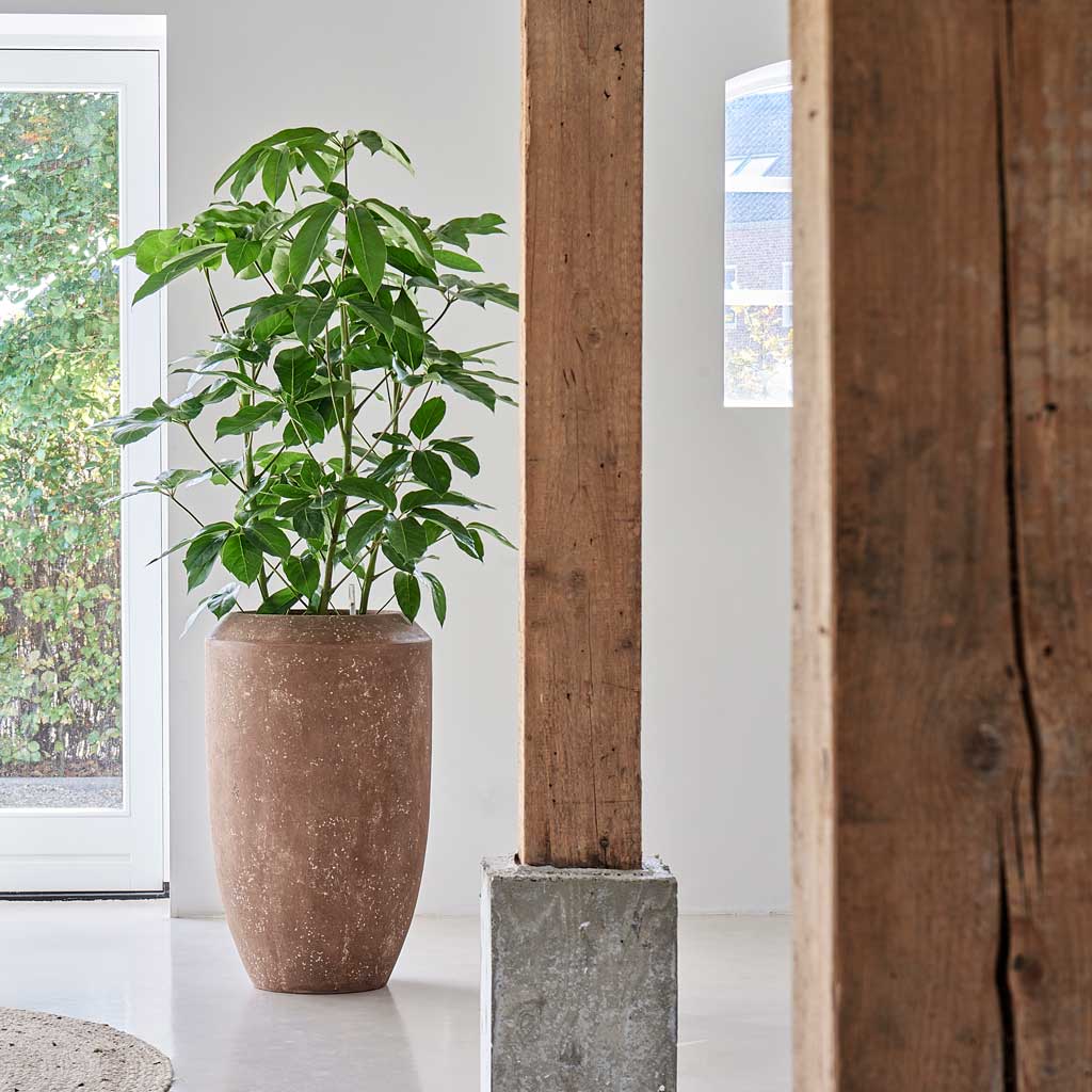Polystone Coated Plain Coppa Planter - Rock By Window