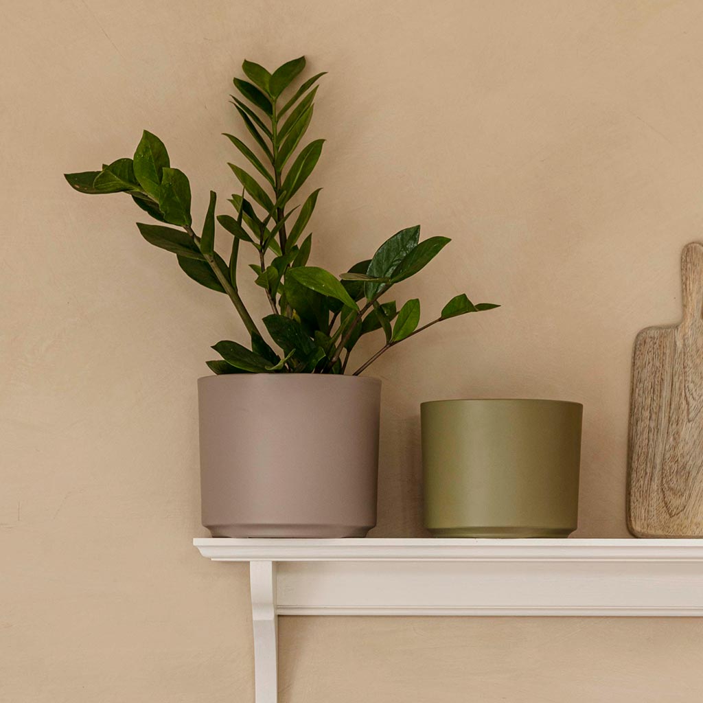 Prague Plant Pot - Taupe & Olive