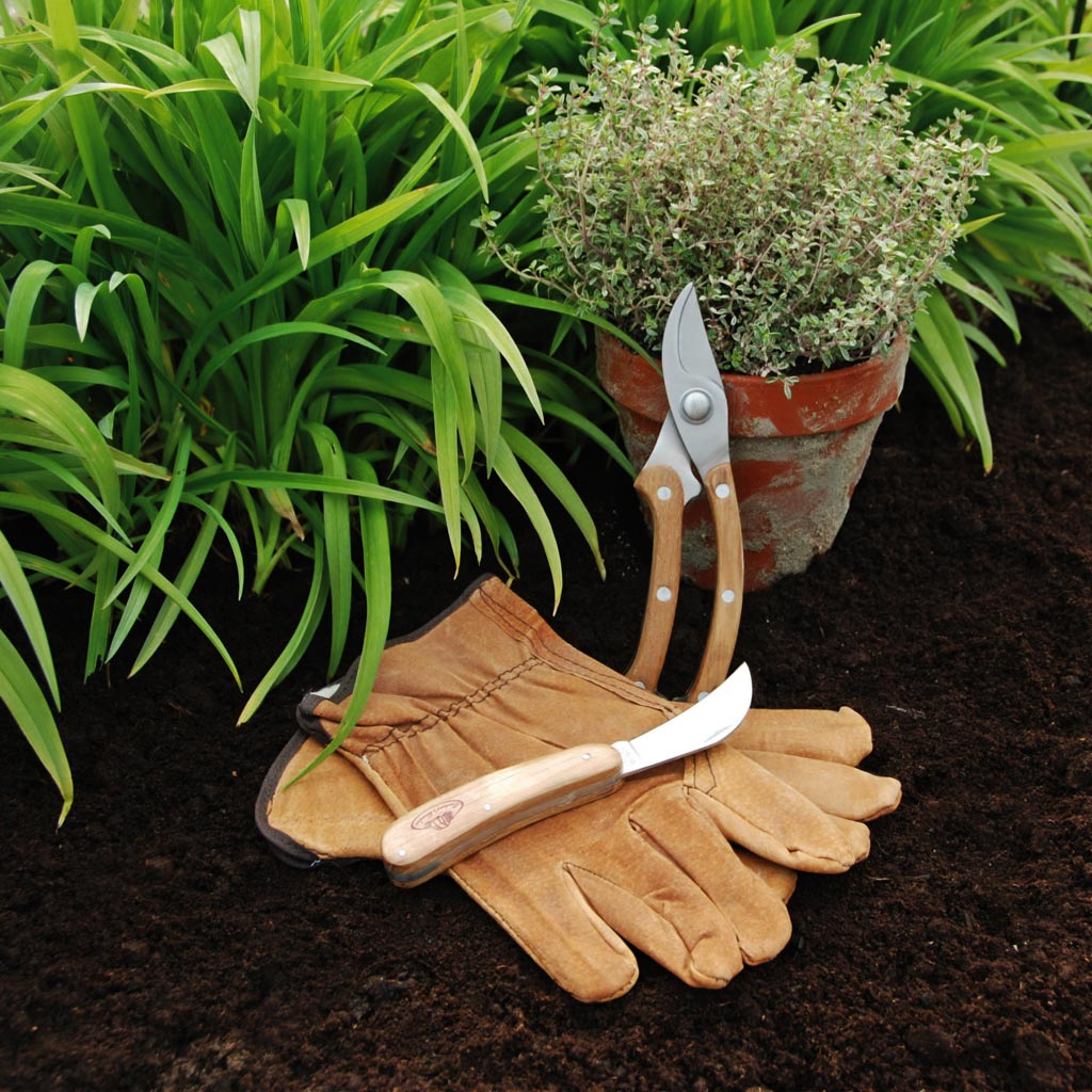 Pruning Tool Set - Stainless Steel In Garden