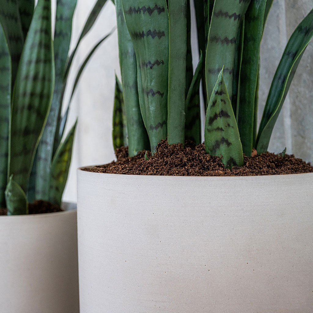 Puk Refined Planter Natural White