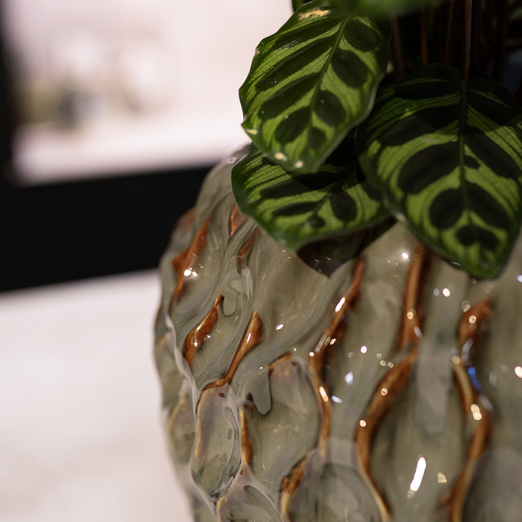 Calathea in Rachel Plant Pot Ocean 