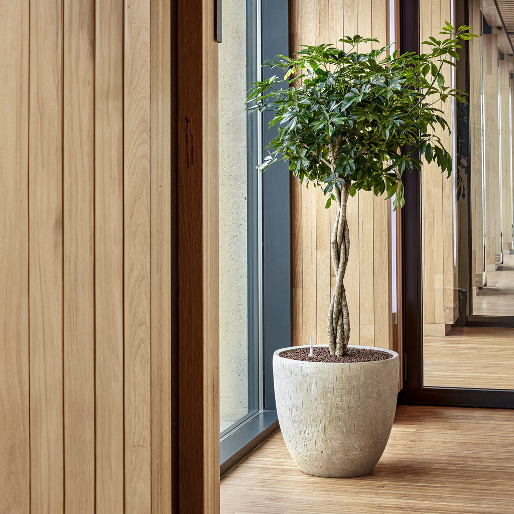 Raindrop Egg Planter - Stone