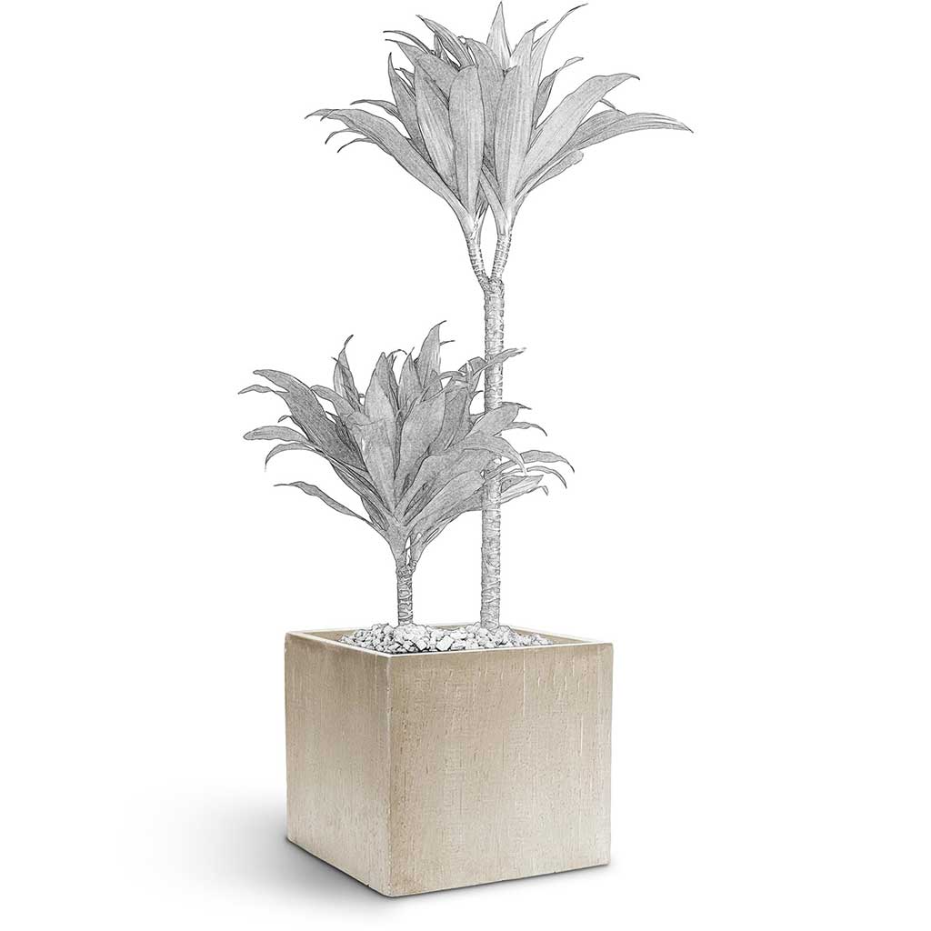 Raindrop Cube Planter - Large Plant Display