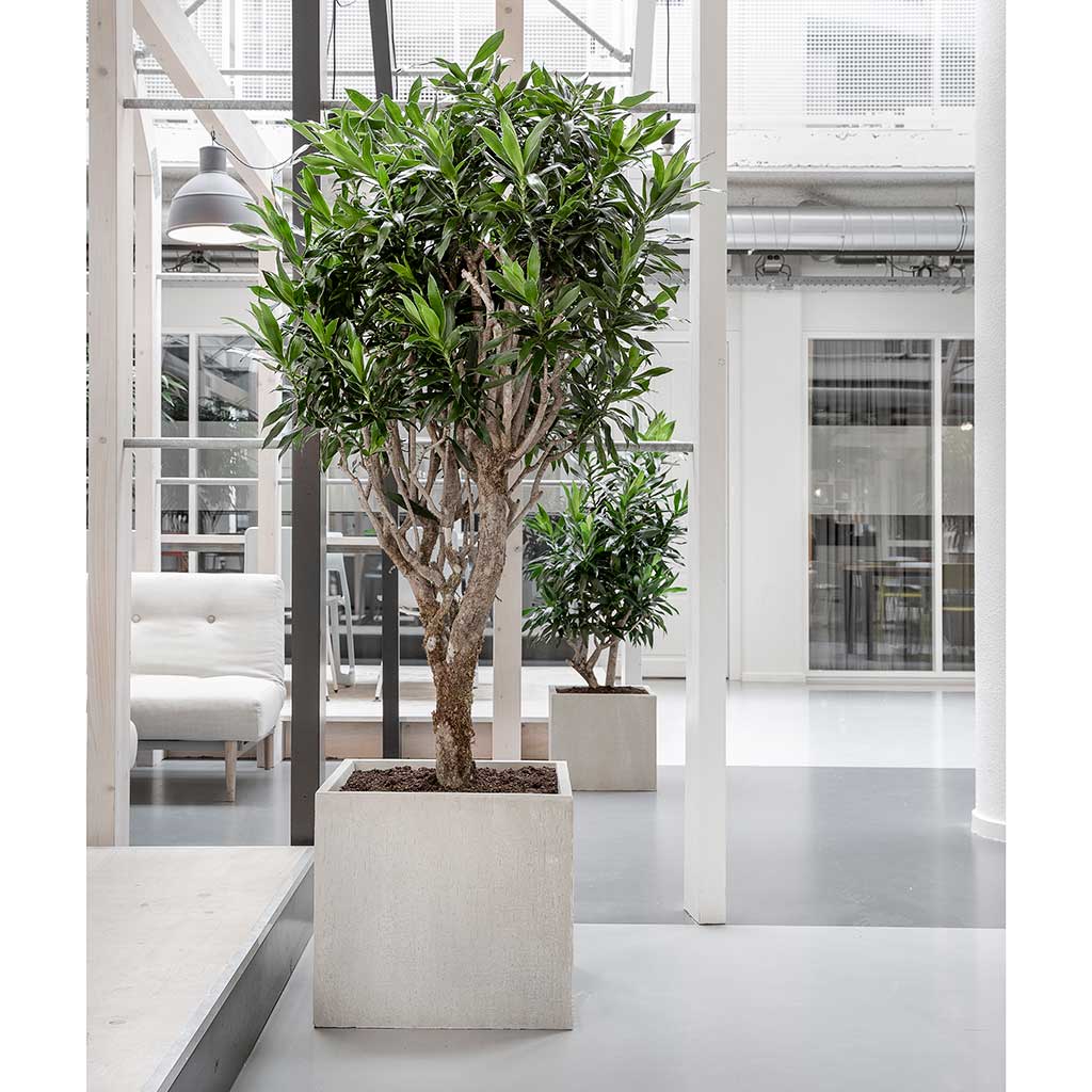 Raindrop Cube Planters Stone