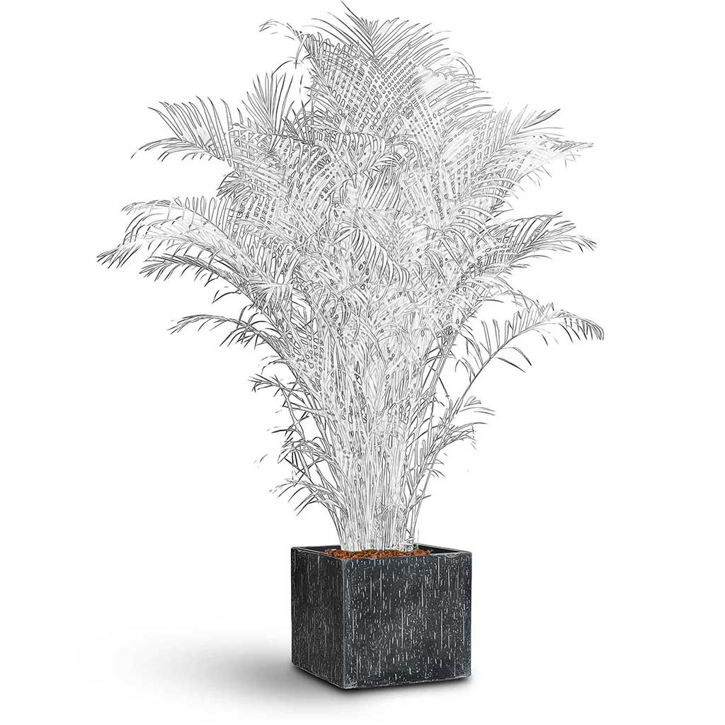 Raindrop Cube Planter - XL Plant Display