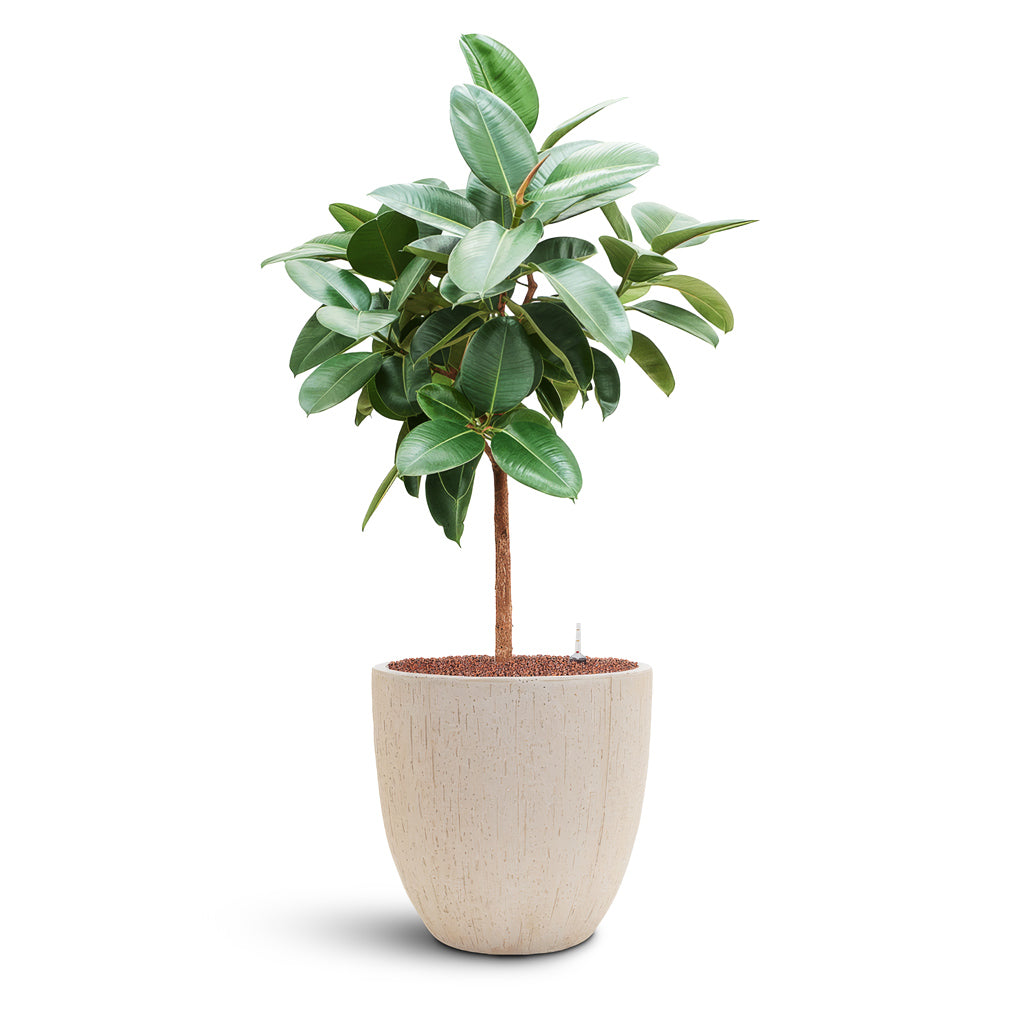 Raindrop Egg Planter - XL Plant Display