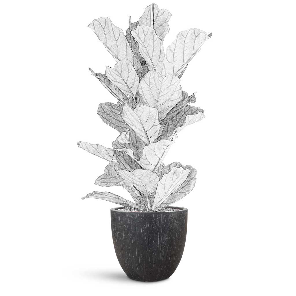 Raindrop Egg Planter - XL Plant Display