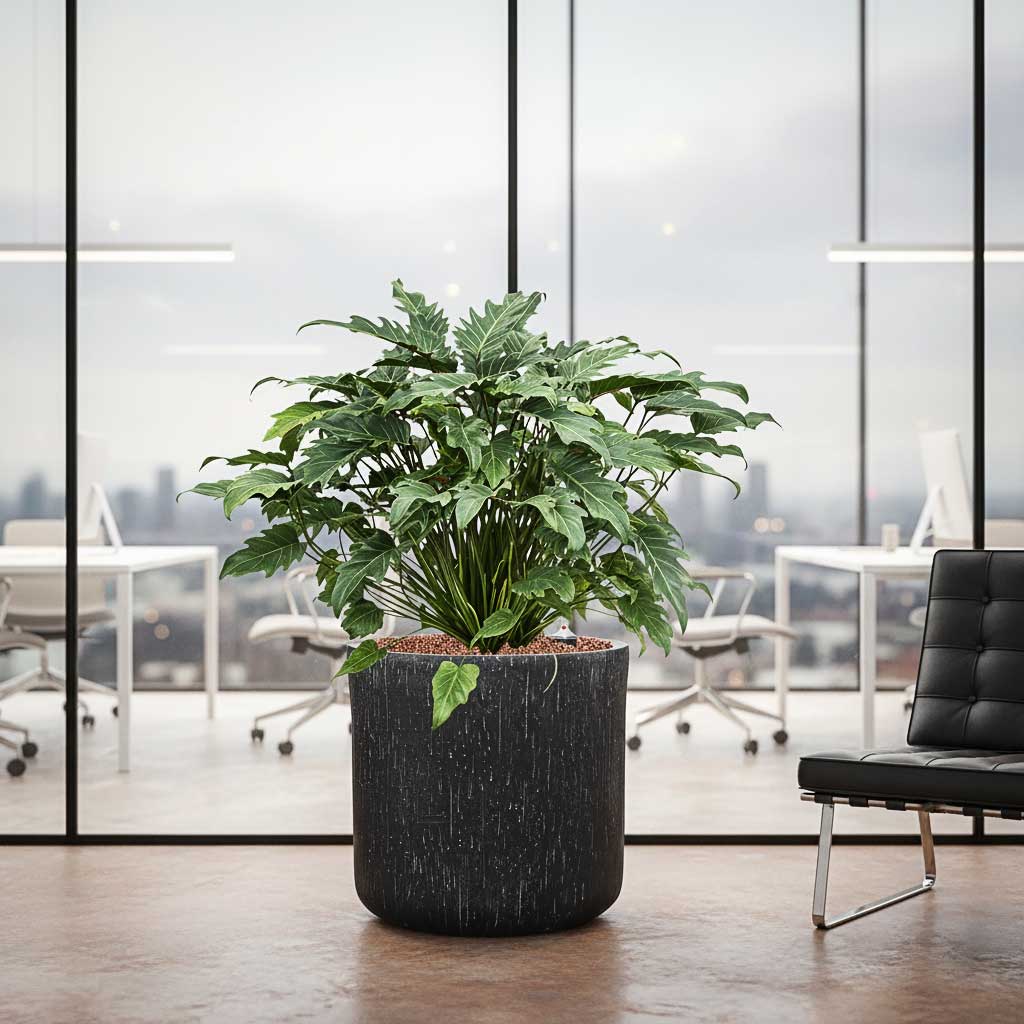 Raindrop Round Planter - Anthracite - 34 x 32cm