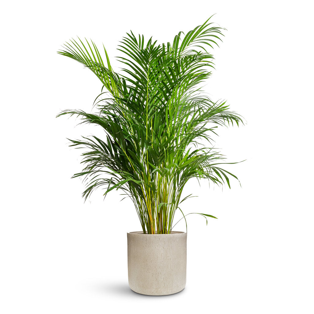 Raindrop Round Planter - Large Plant Display