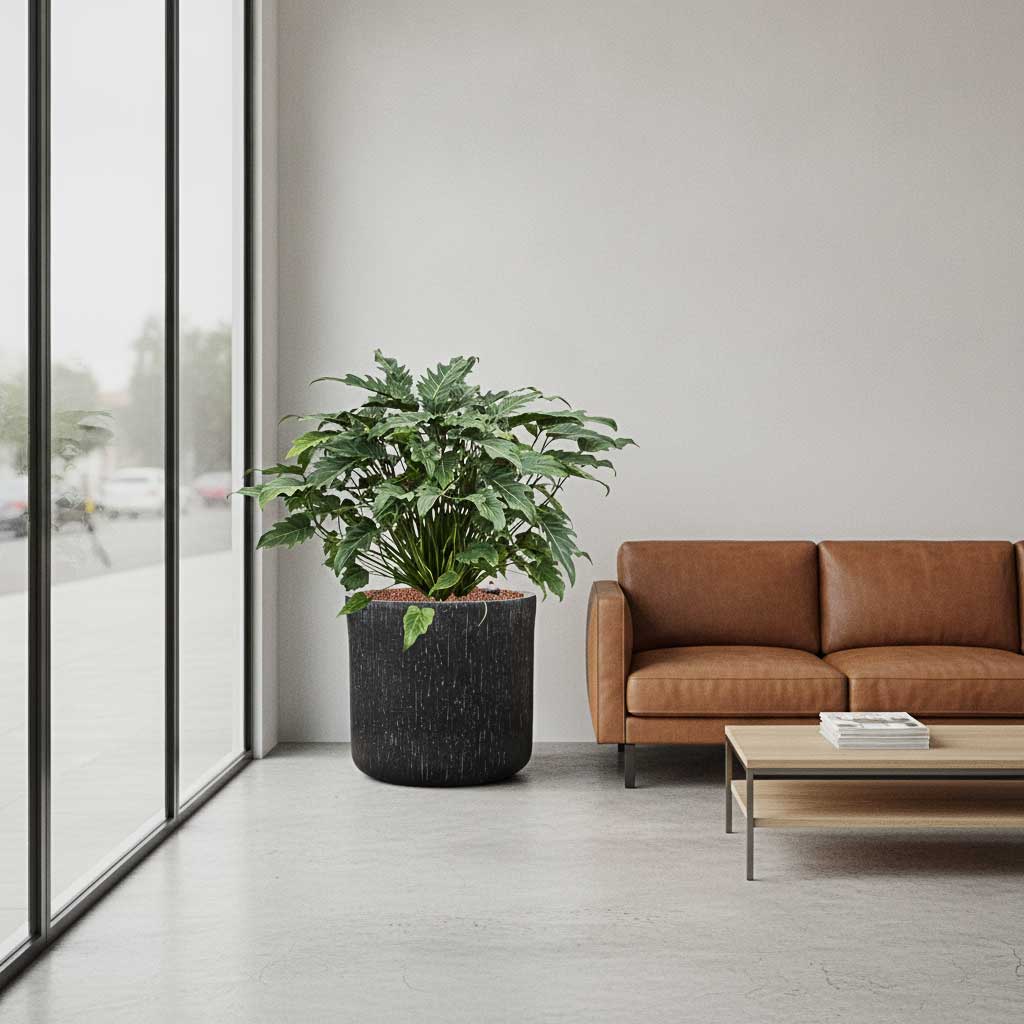 Raindrop Round Planter Anthracite - Medium