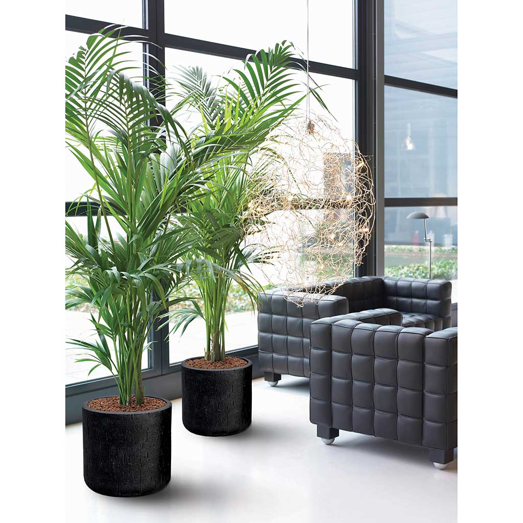 Raindrop Round Planter - Large Plant Display