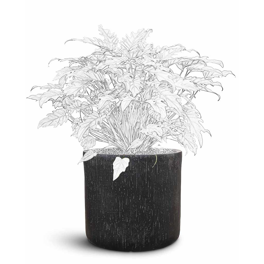 Raindrop Round Planter - Large Plant Display