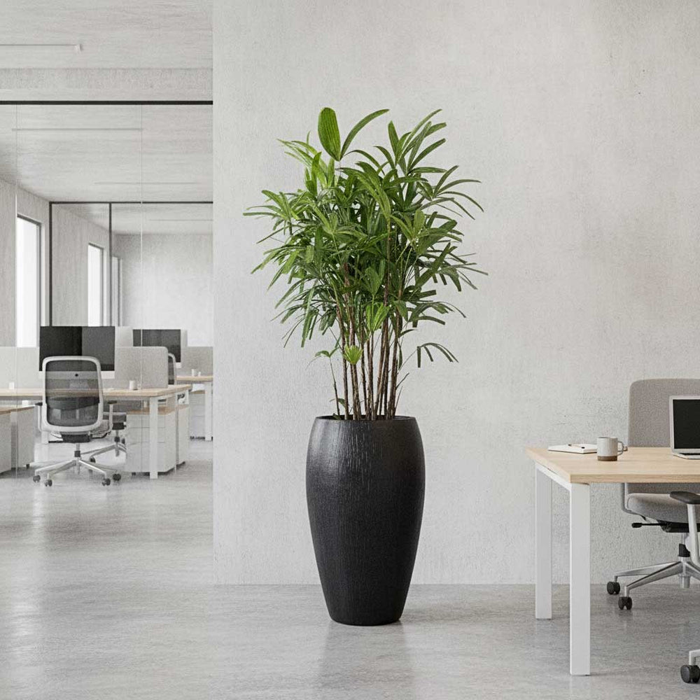 Raindrop Tall Balloon Planter - Anthracite