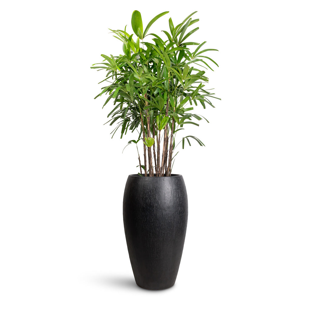 Raindrop Tall Balloon Planter - Anthracite