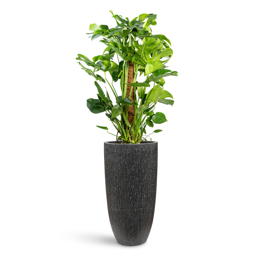 Raindrop Tall Partner Planter - Large Plant Display