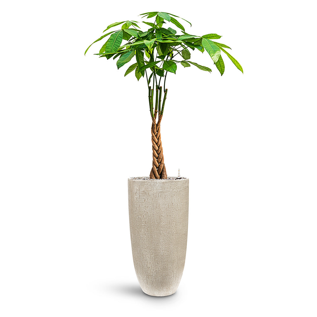 Raindrop Tall Partner Planter - Large Plant Display